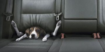 Best Car Commercials Ever | Greatest Car Ads All Time | The Used Car Guy