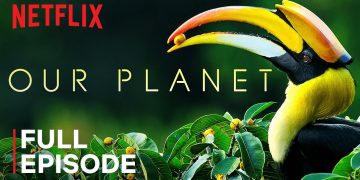 Our Planet | Forests | FULL EPISODE | Netflix
